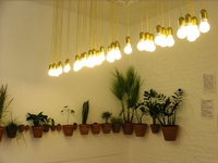 "Licht im Dezember" mit S.H. Choi